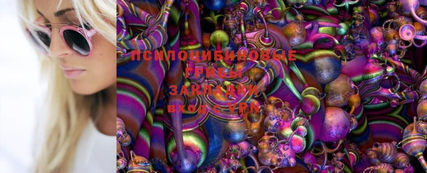 кристаллы Новозыбков