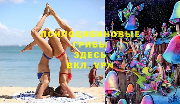 мет Новодвинск