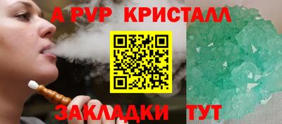 тгк Кингисепп