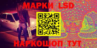 тгк Кингисепп