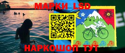 спиды Бийск