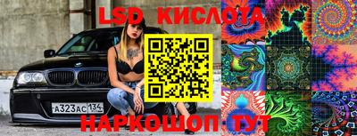 стафф Берёзовский