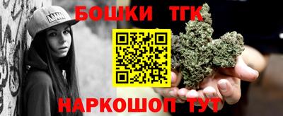 тгк Кингисепп