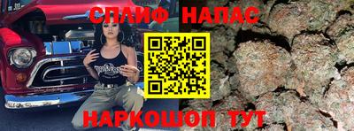 спиды Бийск