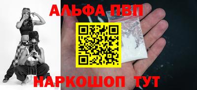 тгк Кингисепп