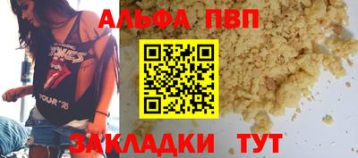 тгк Кингисепп