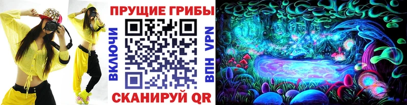 цены наркотик  Санкт-Петербург  Галлюциногенные грибы Cubensis 