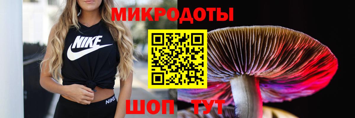Галлюциногенные грибы Psilocybine cubensis  Псилоцибиновые грибы мицелий  Вход с VPN  Санкт-Петербург 