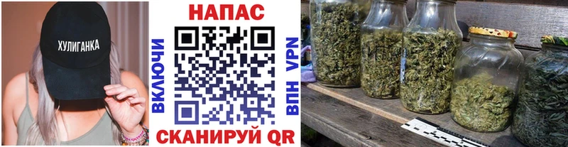 наркота  Санкт-Петербург  Марихуана ГИДРОПОН 